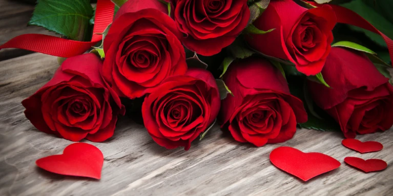 ما تفسير حلم الورود تفسير الأحلام لابن سيرين؟ ما تفسير حلم الورود تفسير الأحلام لابن سيرين؟ تفسير حلم الورود، إن رؤية الورود من الرؤى المحمودة التي تحظى باستحسان واسع من قبل الفقها