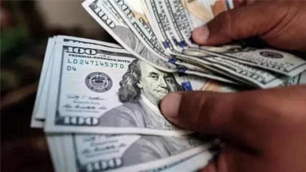 بعد تحركه 13 قرشا .. مفاجأة في أسعار الدولار أمام الجنيه الآن شهد سعر الدولار مقابل الجنيه اليوم الأربعاء 31-7-2024، هدوءا نسبيا في جميع البنوك
