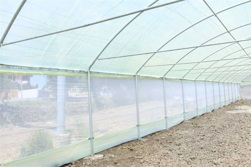 محافظ كفرالشيخ وسفير اليابان يتفقدان موقع مشروع الصوب الزراعية بقرية بوريد تفقد اللواء دكتور علاء عبدالمعطي، محافظ كفرالشيخ، والسفير أوكا هيروشي، سفير اليابان في مصر، والدكتور عبدا