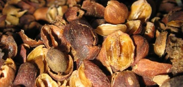 طريقة قشر القهوة للكرش.. متى يشرب قشر القهوه للتنحيف؟تعتبر المشروبات التي تحتوي على الكافيين لها عامل كبير في خسارة الوزن لما بها من خصائص، ولكن يتم عمل طريقة قشر القهوة التي لها ف