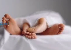 تعرف على تفسير حلم الجماع للمطلقة لابن سيرين تفسير حلم الجماع للمطلقة، لا شك أن رؤية الجماع من الرؤى التي تشيع في عالم الأحلام بكثرة، حيث أن المحتويات الجنسية ذات نسبة عالية عند ال