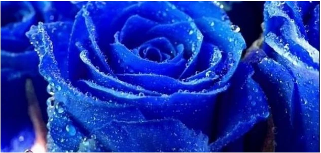 ما تفسير اللون الأزرق في المنام لابن سيرين؟ اللون الأزرق في المنام، لا شك أن رؤية الألوان في عالم الأحلام تبدو محيرة ومثيرة عند الكثيرين منا، ولقد