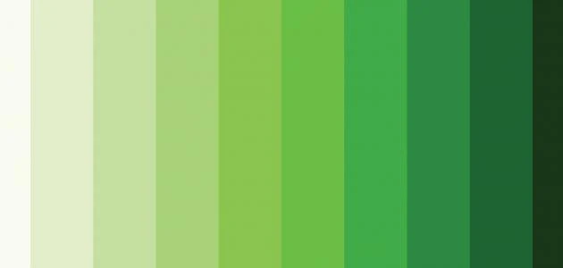 درجات اللون الأخضر.. ما هي الألوان التي تتناسب مع اللون الأخضر؟يوجد العديد من الدرجات في اللون الأخضر، ويبحث العديد من المهتمين بتناسق وترتيب الألوان