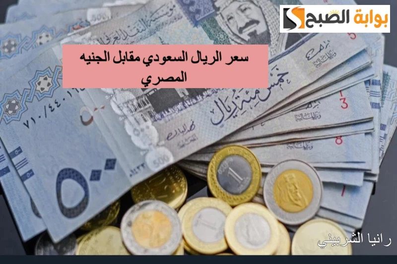 بكام مع عودة عمل البنوك.. سعر الريال السعودي مقابل الجنيه المصري اليوم الأحد 2872024 والعملات في البنوكيبحث العديد من المواطنين في الآونة الأخيرة عن