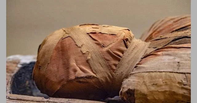 اكتشاف مومياء محفوظة جيدا في قبر حارس العالم السفلي لايف ستايل شاهد المقال التالي من صحافة البحرين عن اكتشاف مومياء محفوظة جيدا في قبر حارس العالم السفلي، تمكن علماء الآثار الذين ي