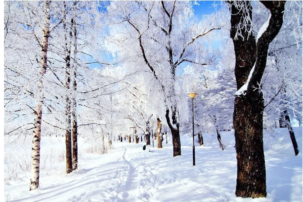 ما هو تفسير رؤية الثلج في المنام لابن سيرين؟ يشعر عدد كبير من الحالمين بالحيرة عند رؤية الثلج في المنام، ويريدون الوصول إلى تأويل هذا الحلم للتأكد من الدلالة التي يحملها وهل هو خير