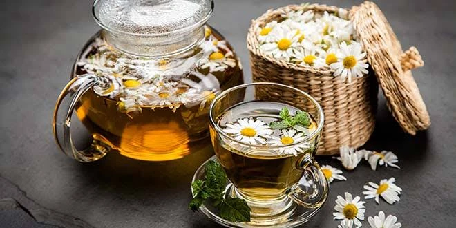 فوائد مشروب البابونج..تعرف عليهامشروب البابونجيعتبر مشروب البابونج إحدى المشروبات الساخنة التي لها العديد من الفوائد الصحية للجسم، ومن هذه الفوائد:تبعا للدرسات يساهم شاي البابونج ف