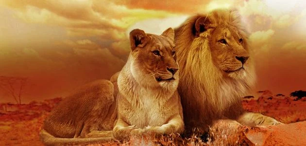 15 كلام عن عزة النفس وقوة الشخصية مزخرفة.. ابلغ ما قيل؟الصحة النفسية للإنسان من أهم ما ينبغي على الإنسان الاهتمام به في حياته، وهناك أناس عندهم عزة في النفس عالية بقدر كبير، ولهذا