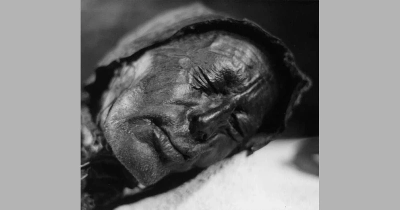 شنق قبل 2000 عام .. لغز رجل أكل عصيدة قبل 12 ساعة من مقتله لايف ستايل شاهد المقال التالي من صحافة البحرين عن شنق قبل 2000 عام لغز رجل أكل عصيدة قبل