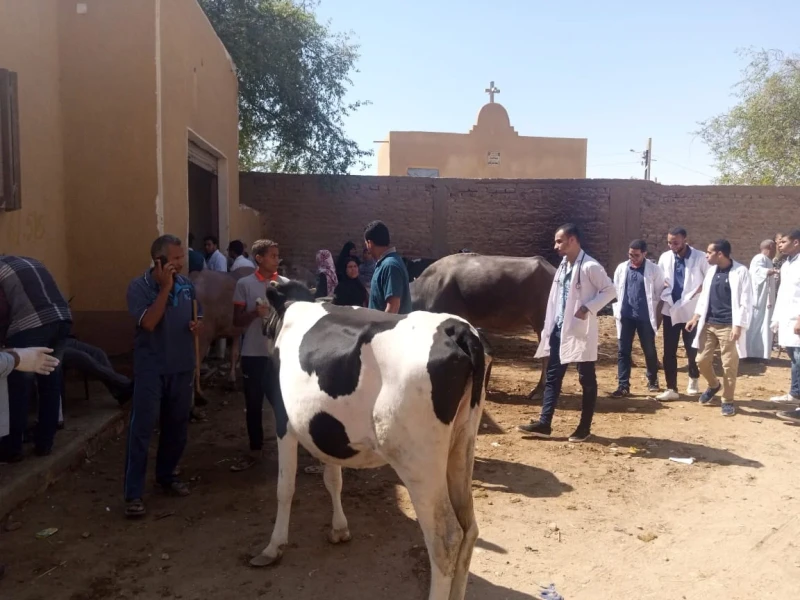 أوعى ترفض تدخل ابنك طب بيطري عشان كلمة دكتور بهايم.. هيكسبك دهب جريدة افاق عربية دكتور بهايم.. هذه الكلمة التي يصف بها معظم الناس الطبيب البيطرى، وعندما في مصر مالا يقل عن 70 ألف ط