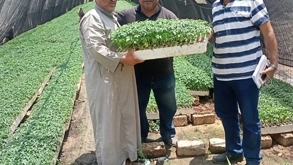 الزراعة تواصل المرور ومتابعة مشاتل الخضر والصوب الزراعية بالمحافظاتواصلت وزارة الزراعة واستصلاح الأراضي، ممثلة في الإدارة المركزية للبساتين والمحاصيل