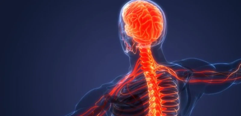 متلازمة خطيرة تصيب الجهاز العصبي.. هذا ما عليكم معرفته عن غيلان باريه صحة شاهد المقال التالي من صحافة لبنان عن متلازمة خطيرة تصيب الجهاز العصبي هذا ما عليكم معرفته عن غيلان باريه، 