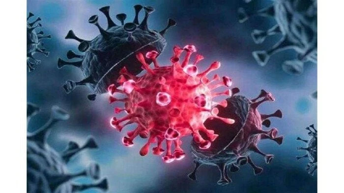 تصريح صادم للصحة العالمية بشأن سلالة متحور كورونا منوعات الاسبوع شاهد المقال التالي من صحافة مصر عن تصريح صادم للصحة العالمية بشأن سلالة متحور