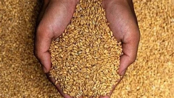 إجراءات حكومية لزيادة إنتاجية المحاصيل وحماية المزارعين من مخاطر الانخفاض.. تفاصيل يضمن وضع السعر الاسترشادي للمحاصيل حقوق المزارعين ، وتحقيق ربحية