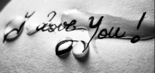 اقتباسات حب وشوق 2025 اجمل ما قيل في الحب كلام قصير؟لو كانت الروح تحرك الجسد فالحب يحرك القلب، كما أن لو أختلف العالم كله في كل الأشياء إلا أن مفهوم الحب ثابت مهما اختلفت البلد أو 