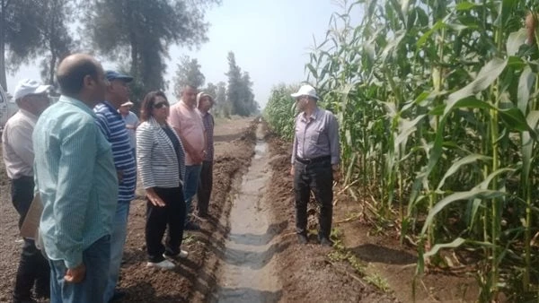 الزراعة تتفقد برامج المحاصيل الحقلية بمحطة بحوث الجميزةتفقدت الدكتورة شيرين عاصم، نائب رئيس مركز البحوث الزراعية لشئون البحوث، والدكتور علاء خليل