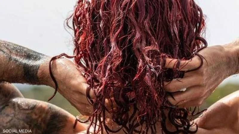 بعد الفوز ب يورو 2024 .. نجم إسبانيا يفي بوعده المجنون أخبار منوعة وطرائف شاهد المقال التالي من صحافة الأفاق عربيةية عن بعد الفوز ب يورو 2024 نجم إسبانيا يفي بوعده المجنون، قطع مدا