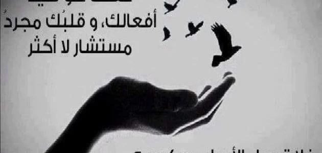 35 حكمة قصيرة و معناها جميل جدا عن الحياةتعرف على أجمل حكمة قصيرة عن الحياة ، والتي يزيد البحث عنها من قبل الكثير من الأشخاص بهدف العبرة والاستفادة