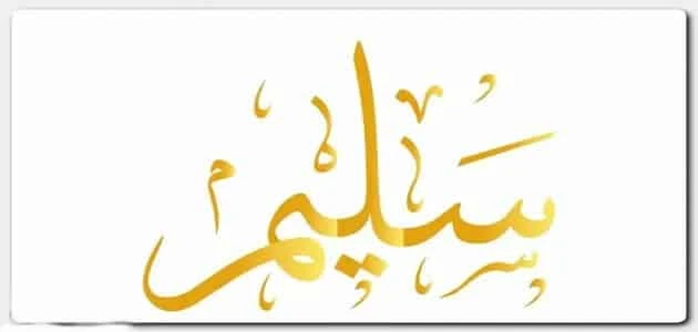 دلع اسم سليم ومعناهيعد اسم سليم هو من الأسماء الغير شائعة، والفريدة من نوعها التي يمكن العمل على التعرف عليها في حالة الرغبة في العمل على إلقاء اسم سليم على المولود الجديد الخاص بك