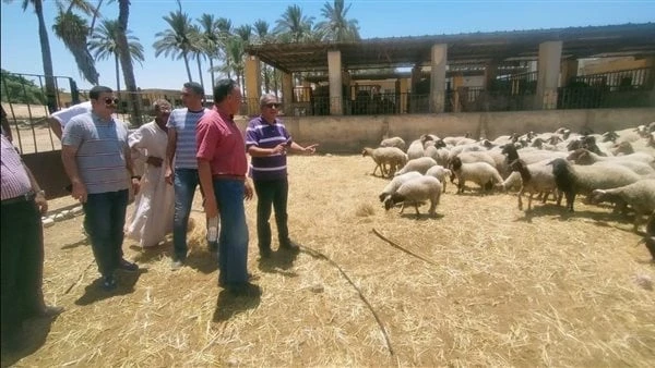 الزراعة: زيارة تفقدية لمحطة مريوط لمتابعة سير العملتفقد الدكتور محمد عزت - نائب رئيس المركز للمشروعات والمشرف على المحطات البحثية بوزارة الزراعة،