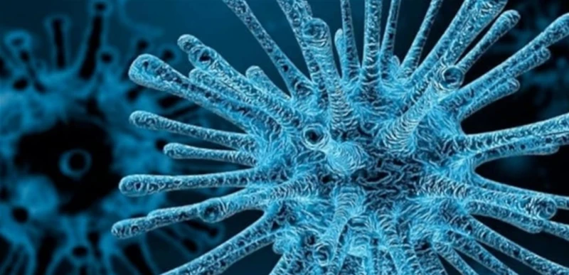 شانديبورا.. فيروس قاتل جديد قد ينتشر عالميا تعرفوا إلى أعراضه صحة شاهد المقال التالي من صحافة لبنان عن شانديبورا فيروس قاتل جديد قد ينتشر عالميا