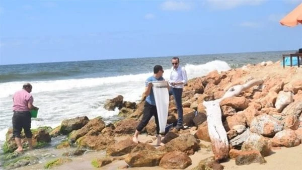 معهد علوم البحار بالإسكندرية: تشكيل لجنة لدراسة سواحل البحر المتوسط وانحسار مياهه أعلنت الدكتورة عبير السحرتي، نائب رئيس المعهد القومي لعلوم البحار