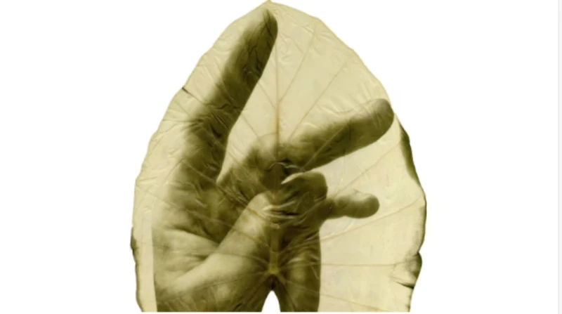 الإبداع ب الكلوروفيل.. إسبانية ترسم على الجرجير إبداع من نوع آخر، انتهجته الفنانة الإسبانية ألمودينا روميرو، إذ جمعت بين شغفها منذ الطفولة بالنباتات