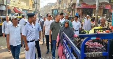 متابعه أحمد القطعاني عدسه احمد سيف تنفيذا لتوجيهات الدكتورة جاكلين عازر محافظ البحيرة بتنظيم حملات ميدانية متنوعة لمتابعة الحالة العامة بالشوارع