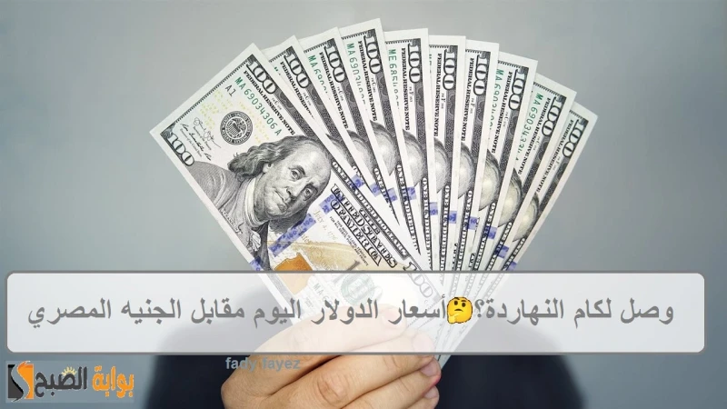 وصل لكام النهاردة؟.. أسعار الدولار اليوم مقابل الجنيه المصري بالبنوكبكم سعر الدولار اليوم؟ سؤال يطرح يوميا بشأن أسعار الدولار اليوم مقابل الجنيه