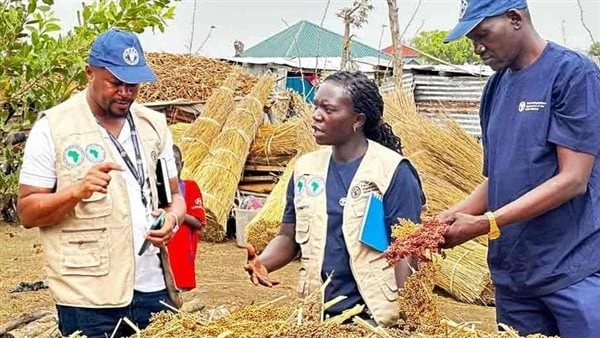 46 مليون دولار من الأفريقي للتنمية لدعم الأمن الغذائي بجنوب السودانوافق مجلس إدارة مجموعة البنك الأفريقي للتنمية على منحة بقيمة 46.2 مليون دولار لدعم