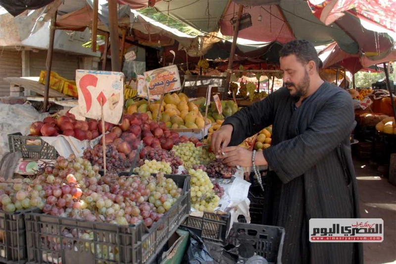 تفاح وبرقوق وموز.. ارتفاع أسعار الفاكهة في أسواق الإسكندرية اليوم الأحد 28 يوليو 2024 تشهد أسعار الفاكهة في أسواق الإسكندرية، ارتفاعا ملحوظا في معظم أصناف الفاكهة، من بينها التين و