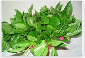 ما هو تفسير الملوخية في المنام لابن سيرين؟ الملوخية في المنام، إن الملوخية من النبات الخضراء اللون والتي ترمز رؤيتها سواء في الحياة الواقعية أو في الأحلام على بشارات الخير حيث تعبر