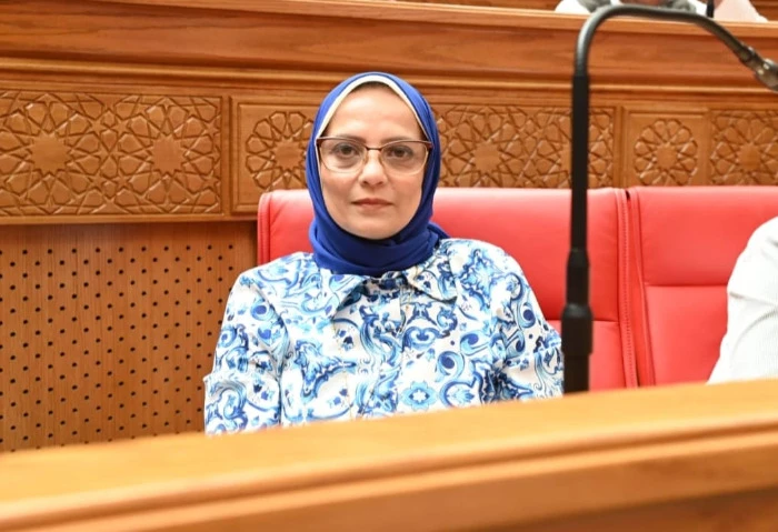 نجلاء العسيلي: الحوار الوطني يعزز حقوق الإنسان ويحقق الاستقرار الاقتصادي أشادت النائبة نجلاء العسيلي، عضو مجلس النواب، بتوصيات الحوار الوطني الأخير،