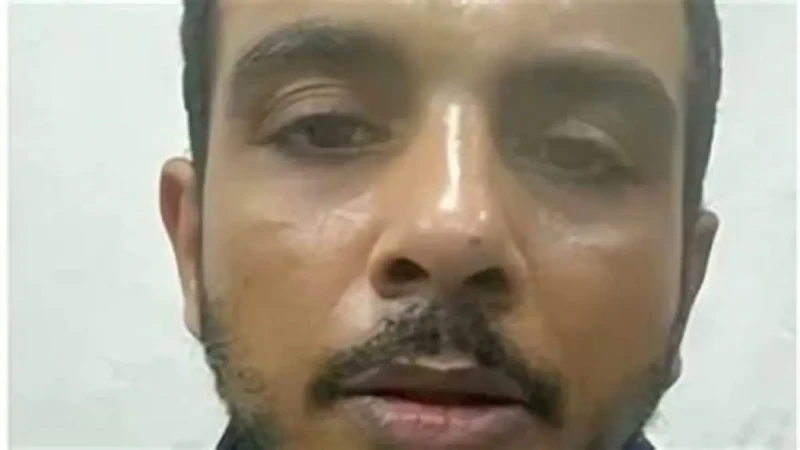 مفاجأة صادمة تكشفها مرافعة النيابة العامة في قضية سفاح التجمعقضية سفاح التجمع استمعت محكمة جنايات القاهرة، المنعقدة بالتجمع الخامس اليوم الخميس