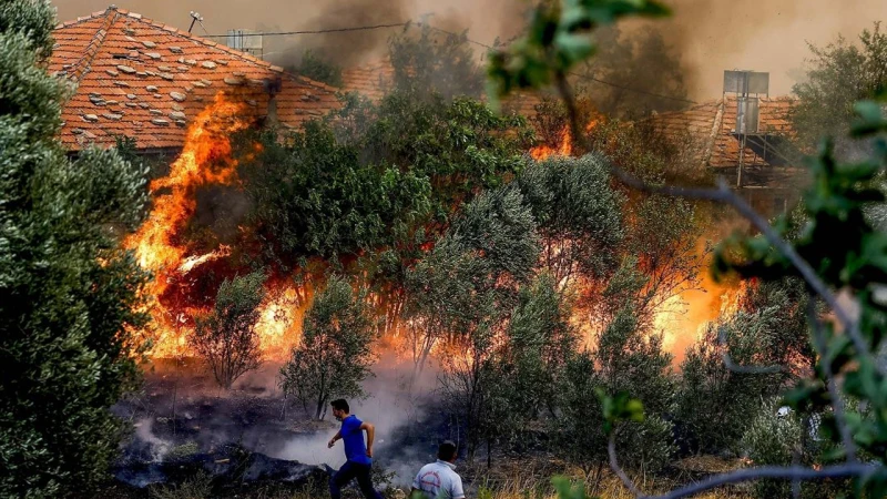 الدفاع المدني يحذر من إشعال النار في المناطق ذات الغطاء النباتيفي ظل زيادة الوعي بأهمية الحفاظ على البيئة والحد من الكوارث الطبيعية؛ فقد أصدر الدفاع