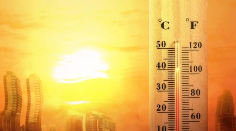 طقس الأحد.. الأرصاد: شديد الحرارة مع ارتفاع نسب الرطوبة قالت منار غانم، عضو المركز الإعلامي لهيئة الأرصاد الجوية، إن طقس اليوم الأحد شديد الحرارة