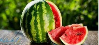 الدلالات الصحيحة لتفسير البطيخ في الحلم لابن سيرين الدلالات الصحيحة لتفسير البطيخ في الحلم لابن سيرين يشير إلى الحب والعاطفة التي يحتاج إليها الرائي