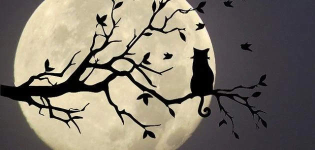 مجموعة (تصبحون ع خير) أجمل رسائل تصبحون على خيرالكلمات الجميلة هي من أحب ما يريد أن يسمعه الإنسان في هذه الحياة التي نعيش فيها، حيث أن الإنسان في