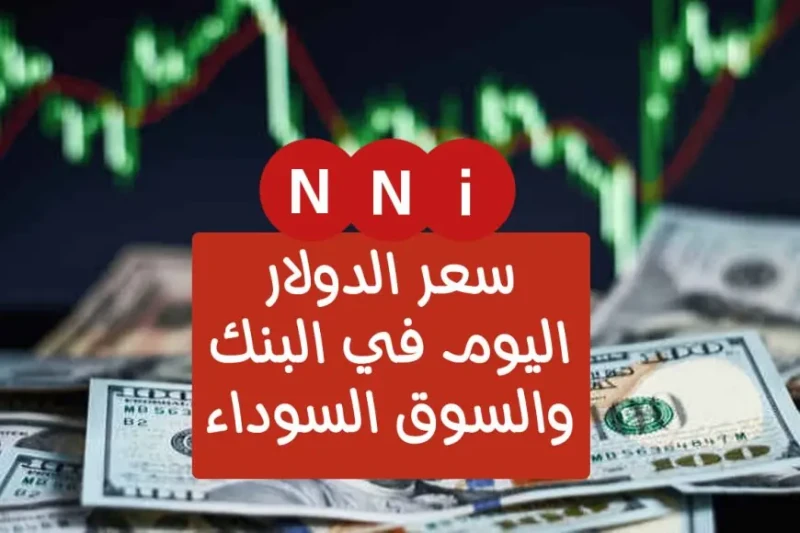 سعر الدولار الأمريكي اليوم مقابل الجنية المصري في السوق السوداء والبنوك في مصر اليوم الاحد 14 يوليو 2024 في ظل التطورات الاقتصادية المتسارعة، شهد سعر الدولار الأمريكي اليوم في السو