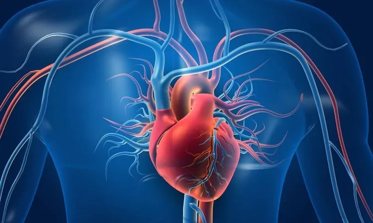 علامات في القدمين تؤكد إصابة صاحبها بأمراض القلب.. تعرف عليها صحة شاهد المقال التالي من صحافة مصر عن علامات في القدمين تؤكد إصابة صاحبها بأمراض القلب