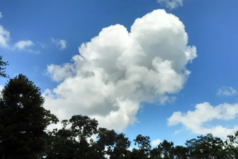 انخفاض شديد في درجات الحرارة.. تفاصيل طقس ال6 أيام المقبلة ونسب الرطوبةأعلنت هيئة الأرصاد الجوية عن تفاصيل حالة الطقس المتوقعة الأسبوع المقبل ابتداء