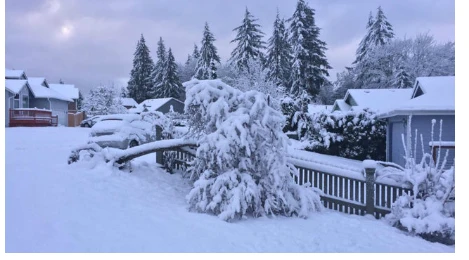 ما هو تفسير حلم الثلوج لابن سيرين؟ تفسير حلم الثلوج، يشعر الإنسان بالسكينة والهدوء الذي يتمناه إن شاهد الثلوج في الواقع، ويفكر في أن المعنى مؤكد على