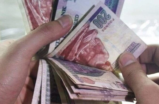 الفئات التي تستحق المعاش حال وفاة المؤمن عليه خدمات شاهد المقال التالي من صحافة مصر عن الفئات التي تستحق المعاش حال وفاة المؤمن عليه، خدمات الفئات