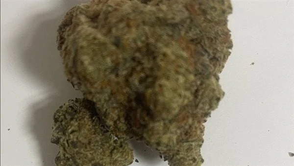 ضبط كمية من المخدرات بمطار الغردقة الدولينجحت سلطات جمارك مطار الغردقة الدولى، برئاسة عبد العال نعمان مدير عام الادارة العامة لجمارك الغردقة، فى ضبط