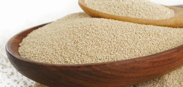 فوائد الخميرة الفورية لزيادة الوزن بسرعةمن خلال التعرف على فوائد الخميرة الفورية لزيادة الوزن بسرعة، يمكننا أن نشير إلى أن زيادة الوزن في العديد من