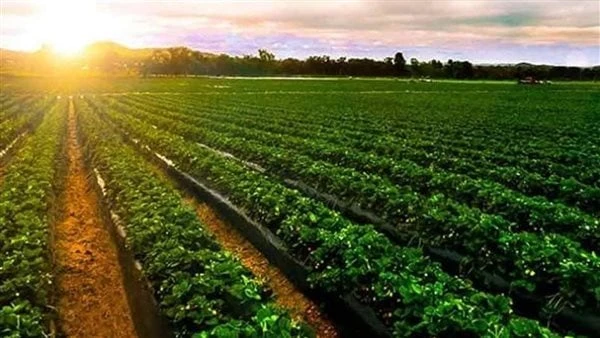 مشروع مصري- صيني لتوفير مياه الري وتعظيم كفاءة المحاصيل الاستراتيجةاستقبل الدكتور حسام شوقي رئيس مركز بحوث الصحراء السيده شياو يوان شيو ممثلة الشركة الحكومية الصينية جونج أن للتنمي