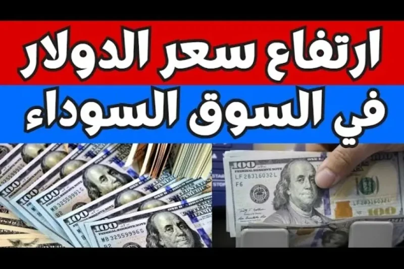 الامريكي يزداد.. سعر الدولار اليوم في السوق السوداء الاربعاء 31 يوليو 2024 وفي البنوك مقابل الجنيه المصرييقوم العديد من المواطنين اليوم بالبحث عبر محرك البحث جوجل عن سعر الدولار في