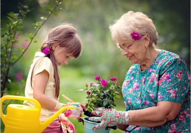تعرف على أهم تأويلات رؤية الجدة في المنام الجدة في المنام تعتبر من الأحلام المستحبة سواء كان الرائي رجل أو فتاة عزباء أو امرأة متزوجة حيث تحمل أجمل