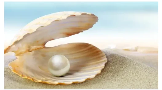 اللؤلؤ في المنام لابن سيرين والإمام الصادق اللؤلؤ في المنام يعد من الأحلام الجيدة ودليل على الخير الكثير والرزق القادم سواء كان حصول الرائي على