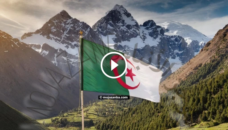 انضم إلى صفوف الجيش الجزائري: دليل شامل للتسجيل والمناصب المتاحة التسجيل في صفوف الجيش الوطني الشعبي 2024 هل تبحث عن فرصة ذهبية لخدمة وطنك وبناء